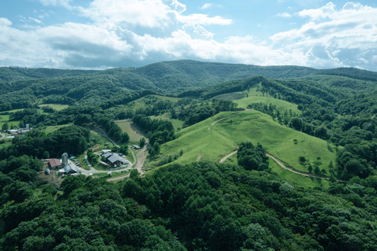 夏季休業期間のオンライン対応について
