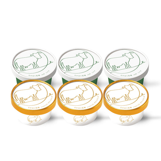 クリームリッチ・ミルク アイスクリーム6個セット