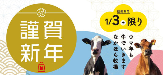 【日本橋店】年末年始の営業時間と福袋について