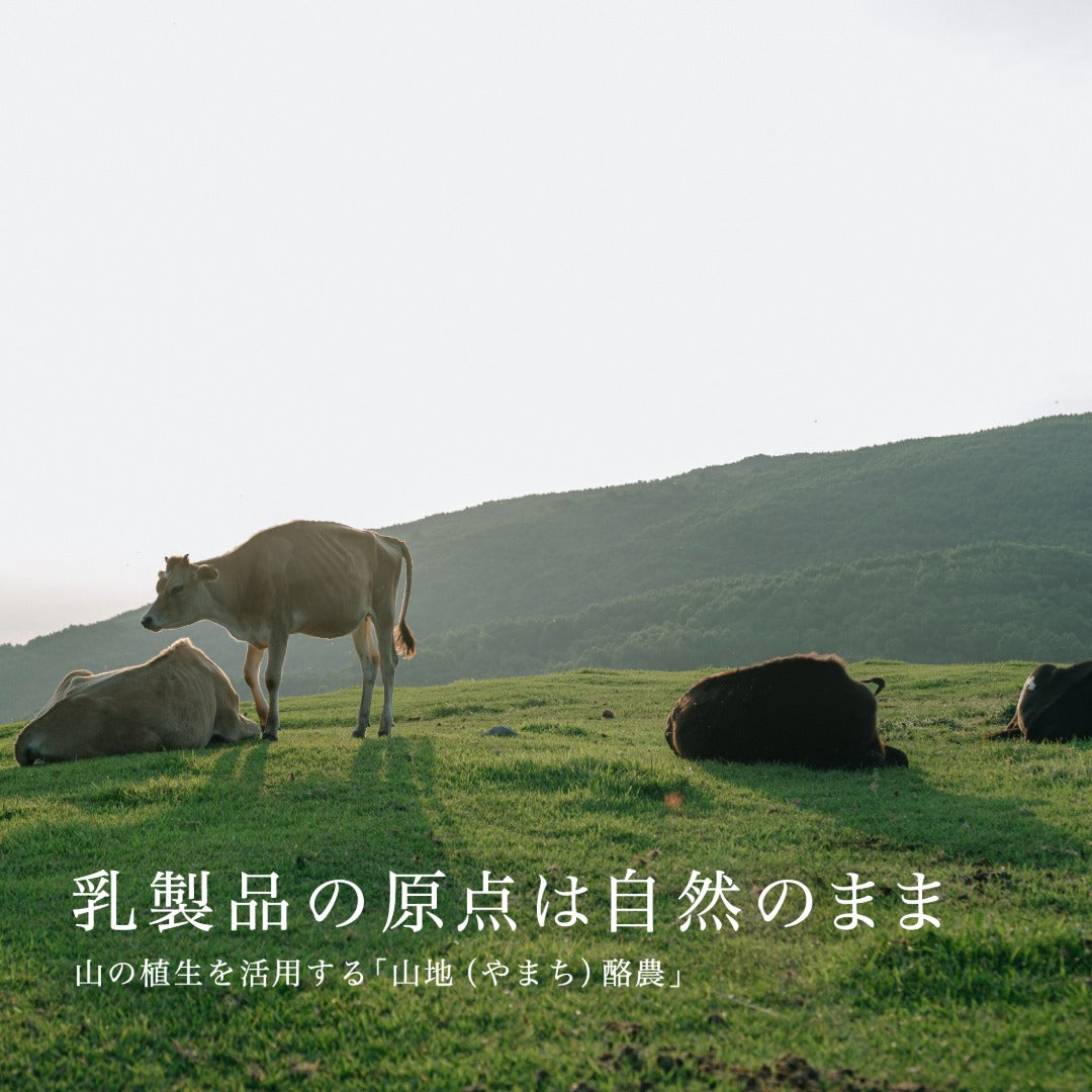 山地酪農について～About なかほら牧場