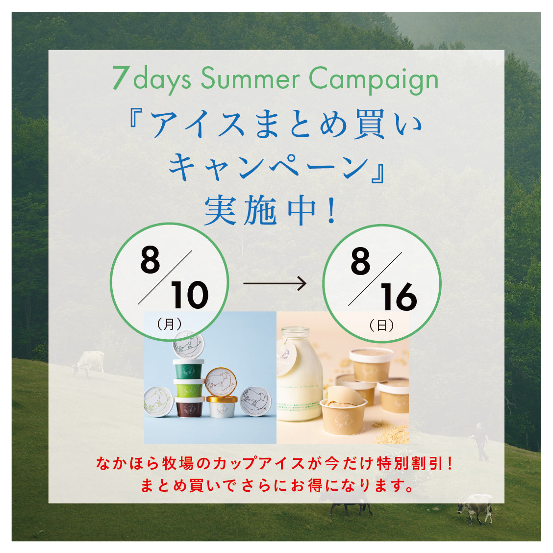 7日間限定、アイスまとめ買いキャンペーン