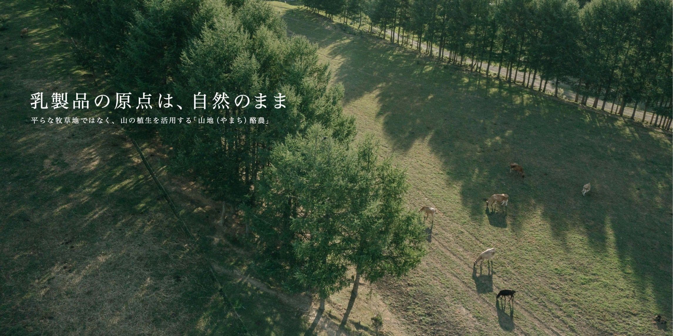山地酪農について～About なかほら牧場