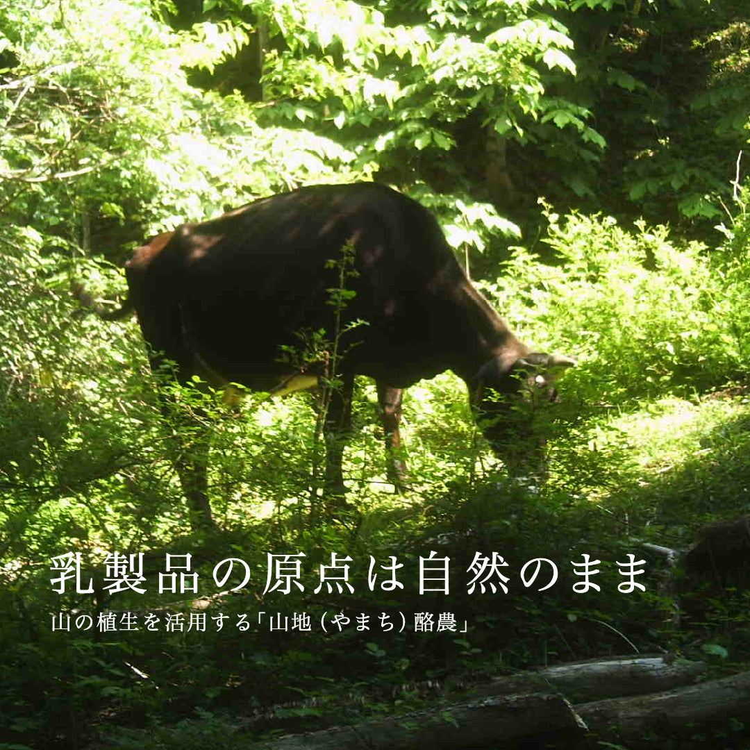 山地酪農について～About なかほら牧場