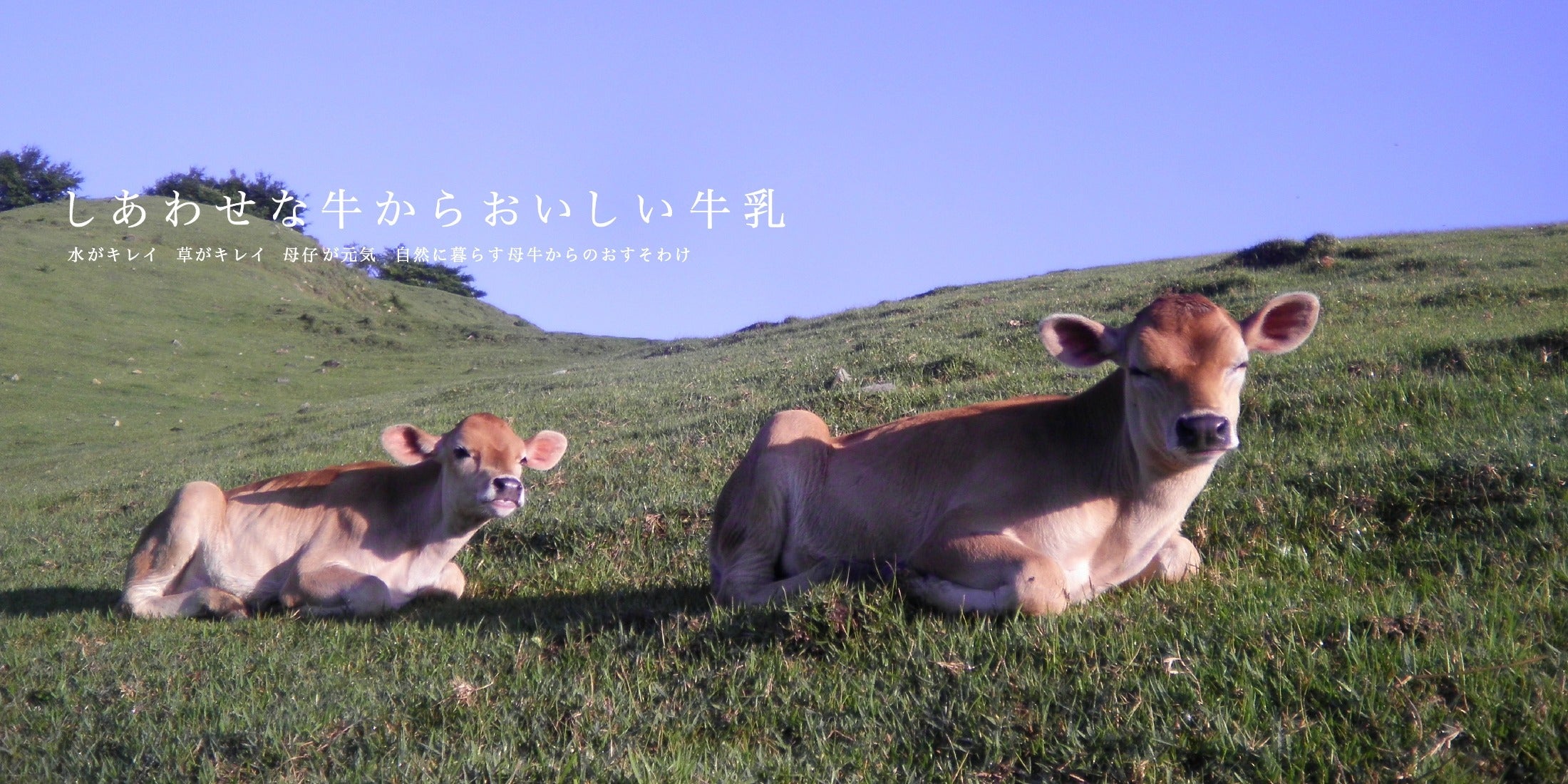 山地酪農について～About なかほら牧場