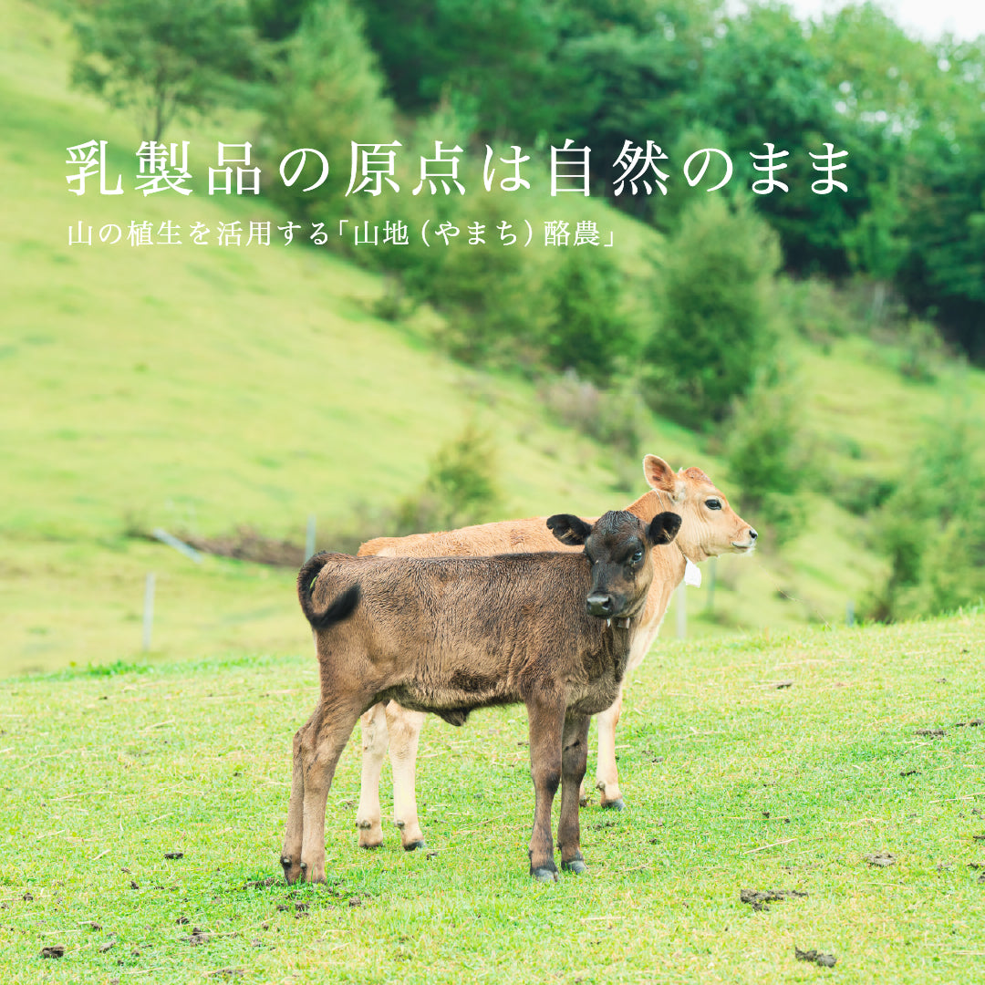 山地酪農について～About なかほら牧場
