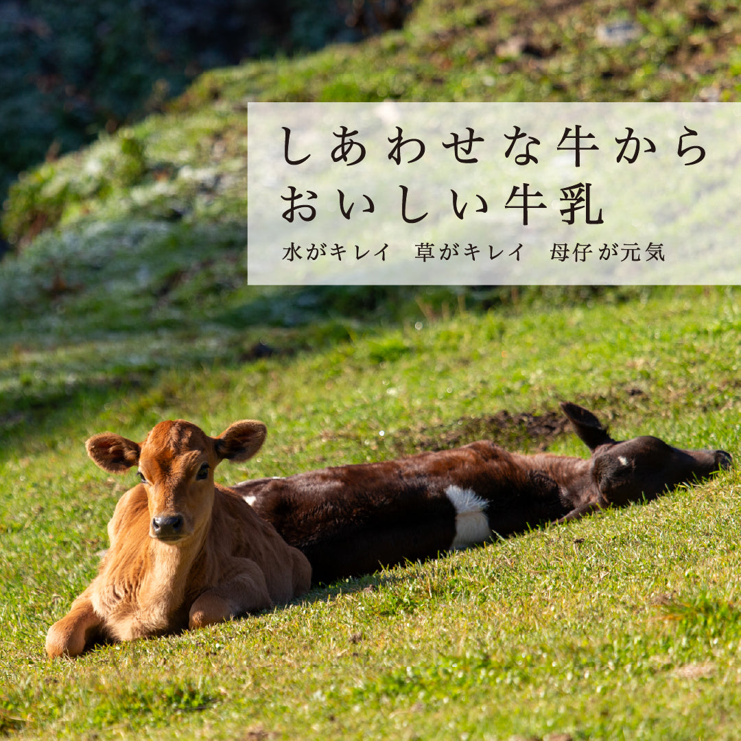 季節によって風味が変化する昔懐かしい自然のままの牛乳
