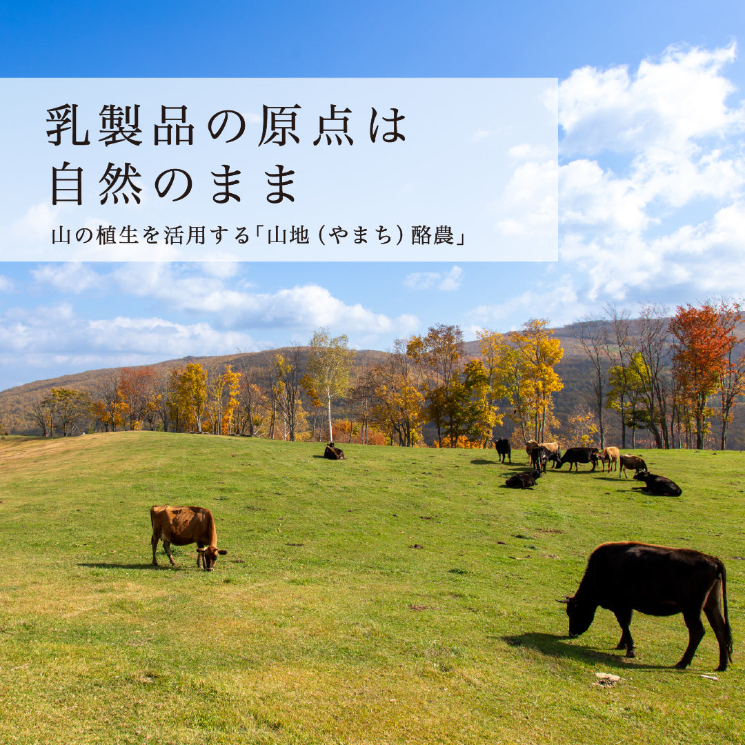 山地酪農について～About なかほら牧場