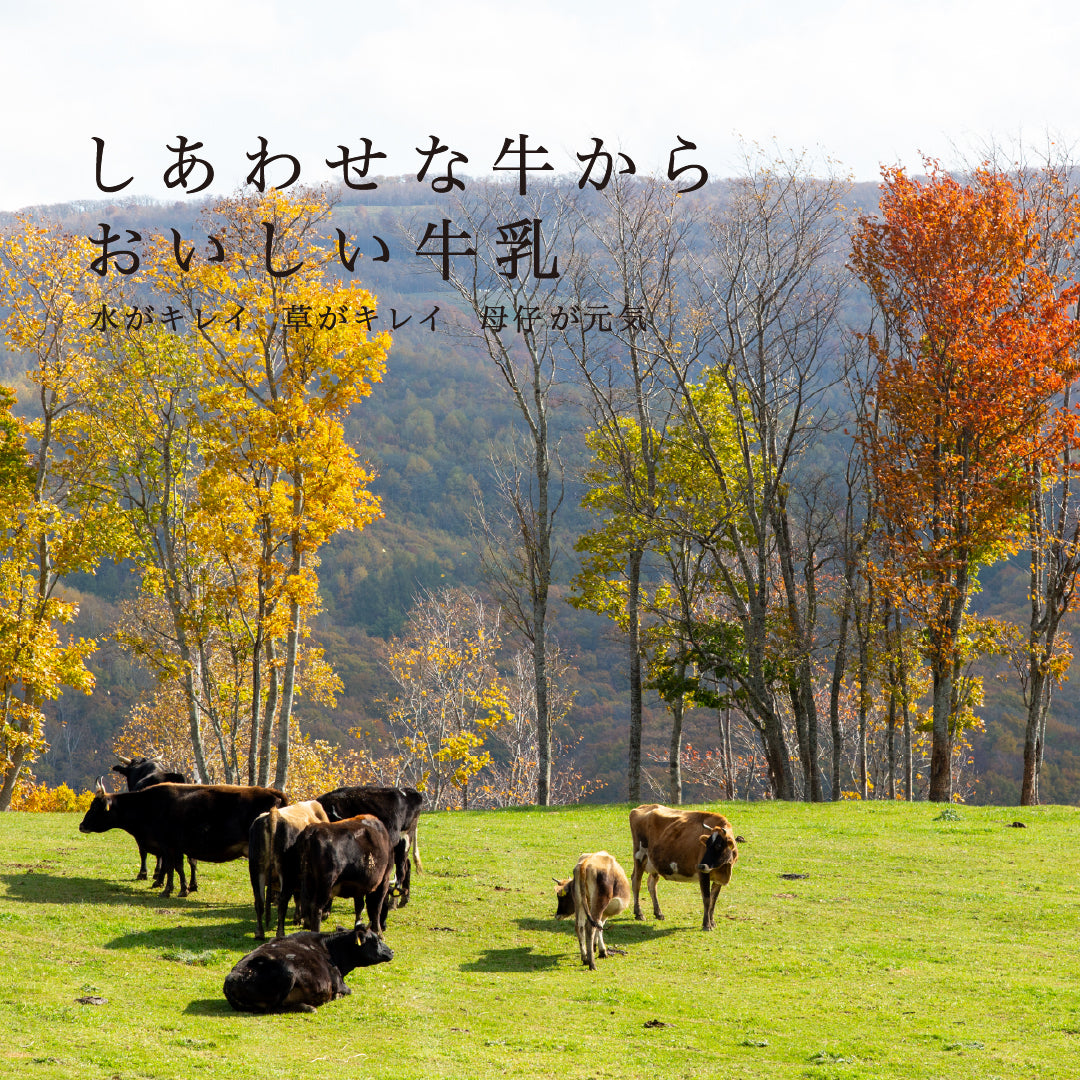 季節によって風味が変化する昔懐かしい自然のままの牛乳