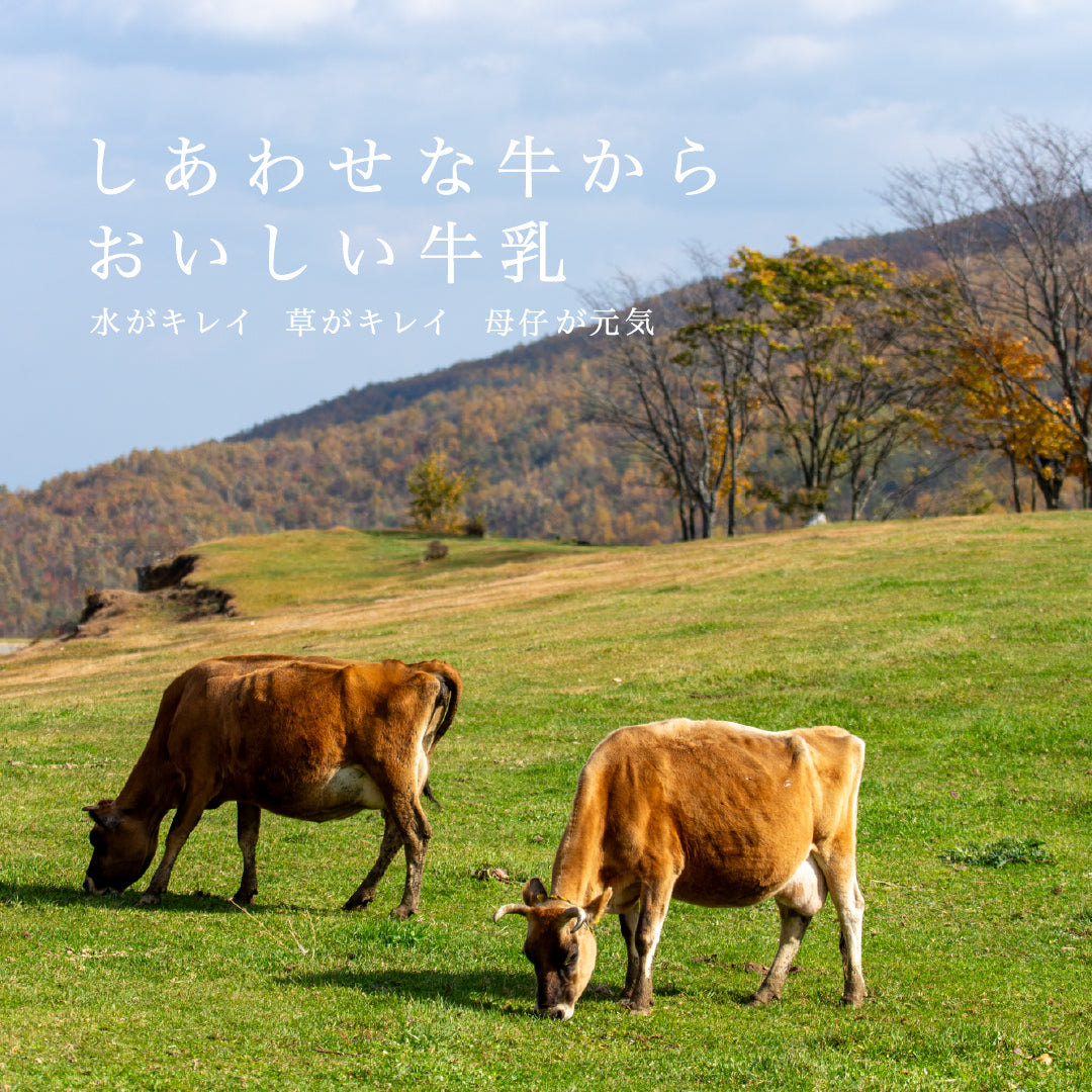 季節によって風味が変化する昔懐かしい自然のままの牛乳