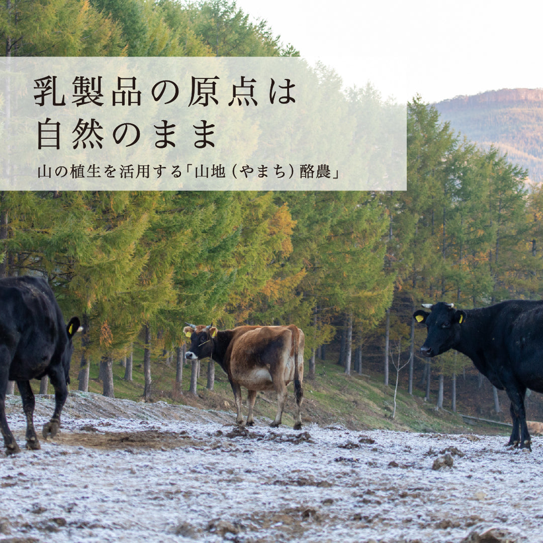 山地酪農について～About なかほら牧場