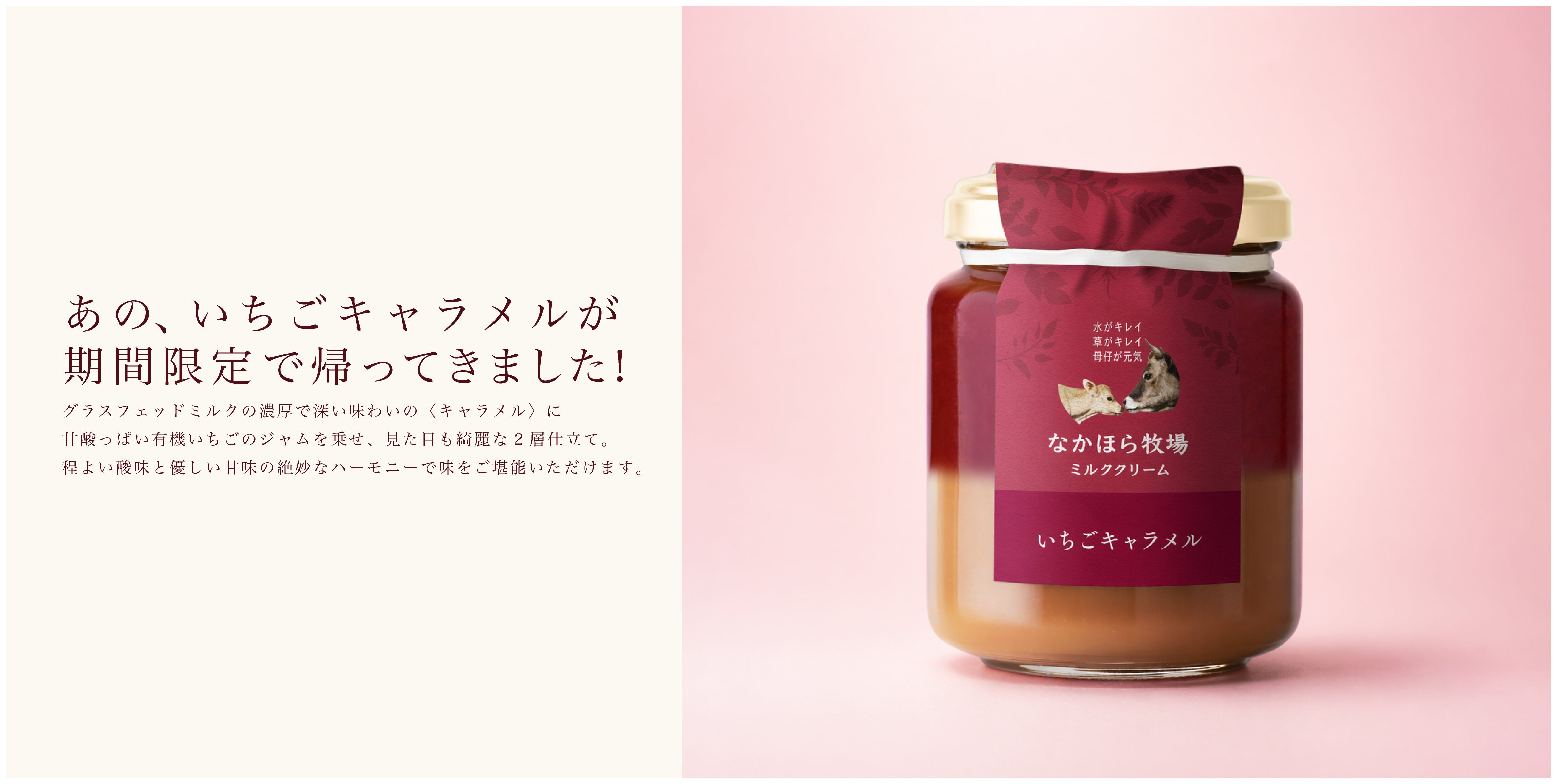 数量限定！有機いちごキャラメルミルククリーム
