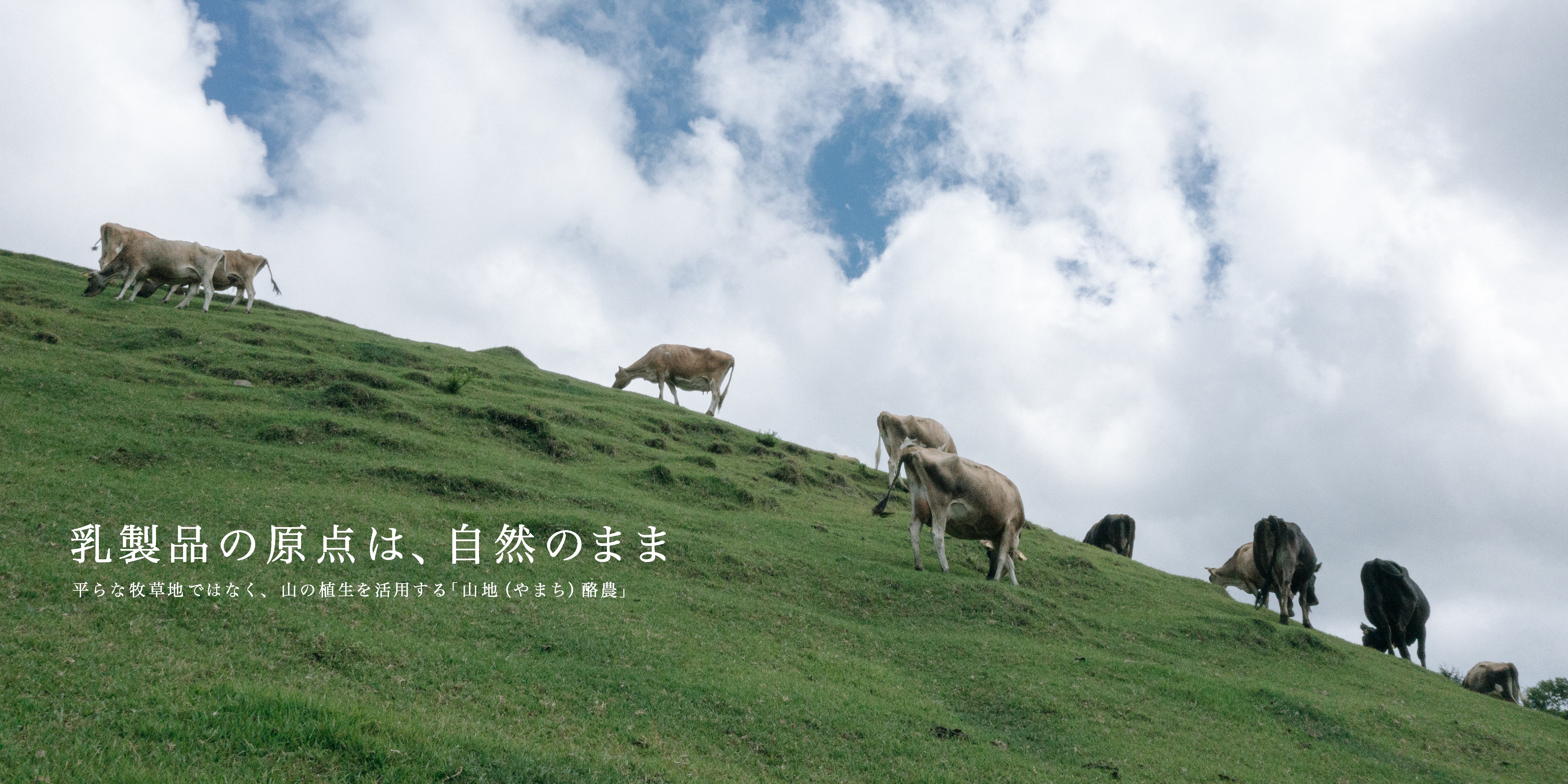 山地酪農について～About なかほら牧場