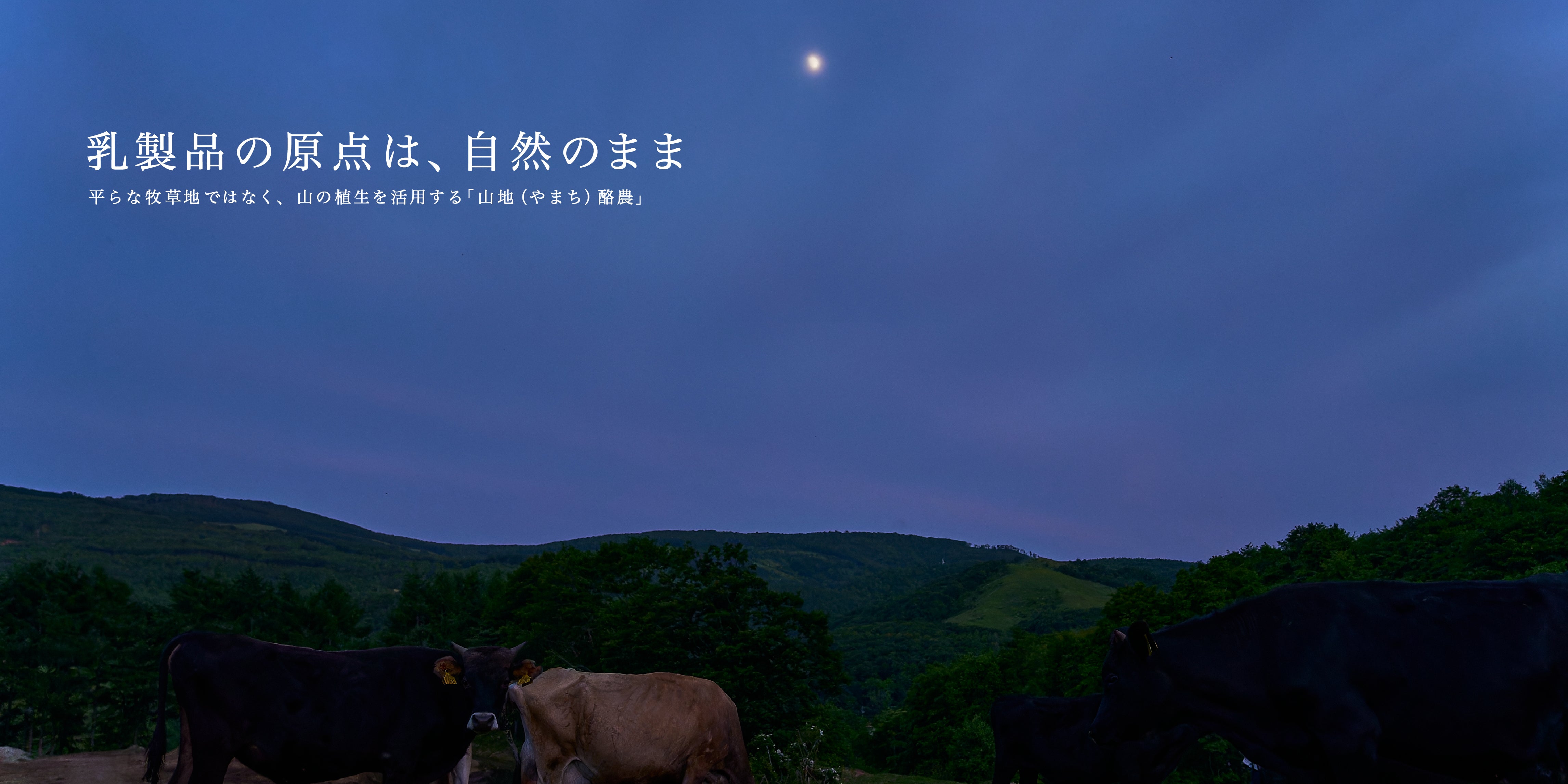 山地酪農について～About なかほら牧場