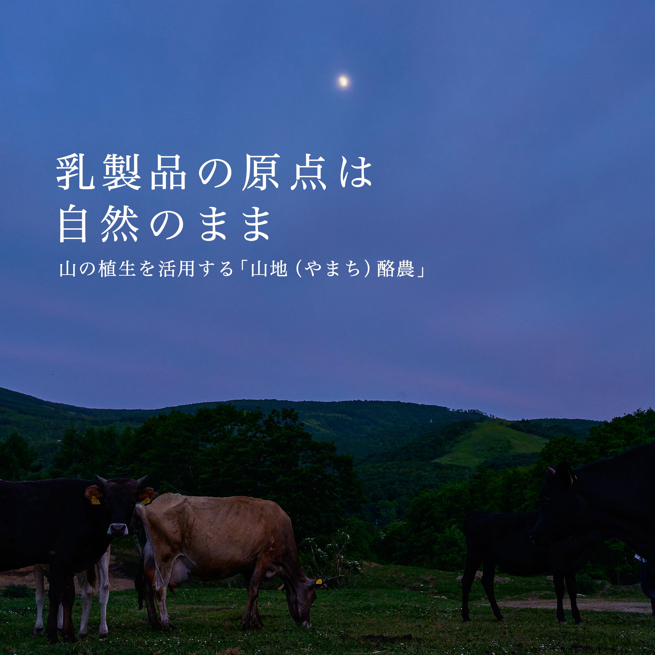 山地酪農について～About なかほら牧場