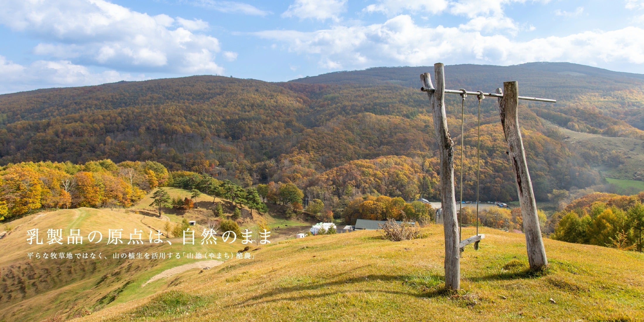 山地酪農について～About なかほら牧場
