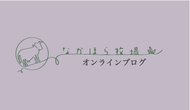 オンライン ブログ