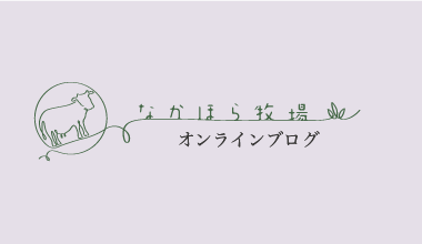 オンライン ブログ
